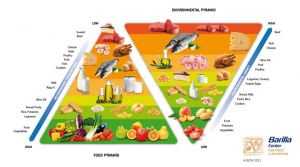 Projekt LowMeat - Ernährungspyramide vs. Umweltauswirkungen.jpg